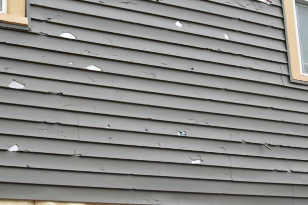 Best Dumpster Rental Services  in Trexlertown, PA